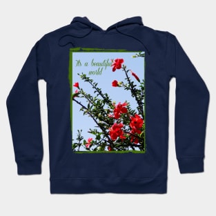 beautiful world with hibiscus tree on the blue sky into vintage frame Hoodie